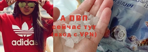 ГАЛЛЮЦИНОГЕННЫЕ ГРИБЫ Белоозёрский
