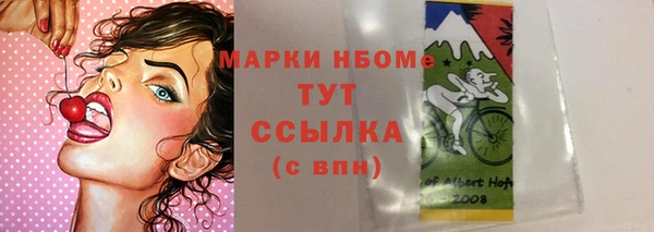 ГАЛЛЮЦИНОГЕННЫЕ ГРИБЫ Белоозёрский