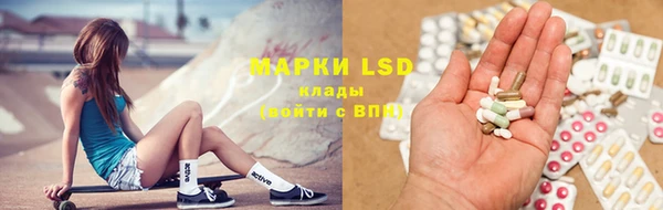 ГАЛЛЮЦИНОГЕННЫЕ ГРИБЫ Белоозёрский