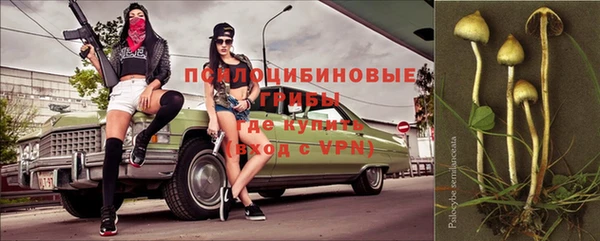 таблы Белокуриха