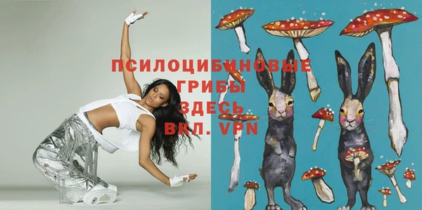 ГАЛЛЮЦИНОГЕННЫЕ ГРИБЫ Белоозёрский