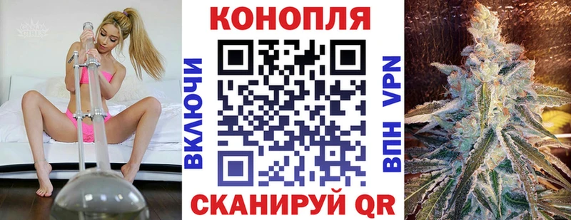 где купить наркоту  Городовиковск  МАРИХУАНА MAZAR 
